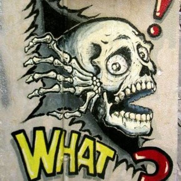 Meet your Posher, Jaylon - Picture 1 of 1